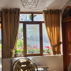 Dhami Gjirokastër